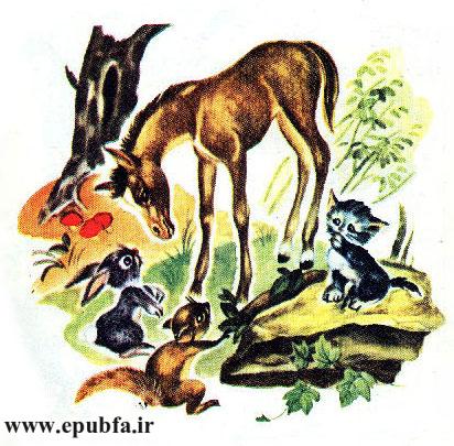 قصه کودکانه کرهاسب کوچولوی بامزه - محصول ایپابفا - ارشیو قصه و داستان کودکانه